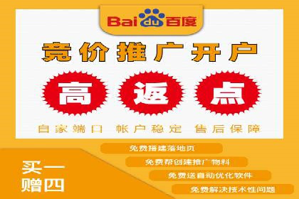 竞价广告的深度解析：以一知名品牌为例